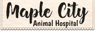 Maple City Animal Hospital